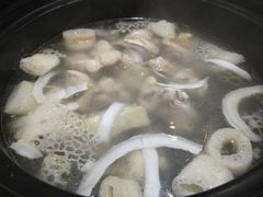 -探窝·竹笙椰子鸡(杨箕店)