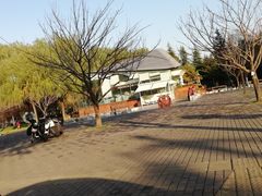-唐城墙遗址公园