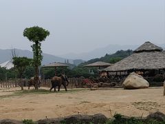 -杭州野生动物世界