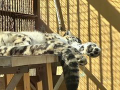 -青藏高原野生动物园