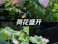 -衣裳街历史文化街区