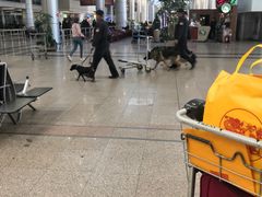 -开罗国际机场