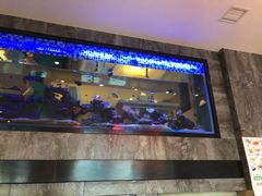-琴寿司居酒屋(软件园店)