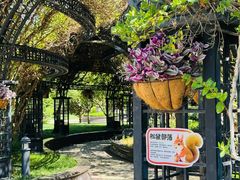 -青岛鑫江温德姆酒店