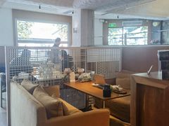 -良木缘咖啡西餐(川大店)