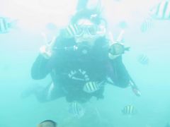 -亚龙湾海底世界