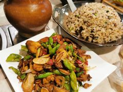 -蘑统田下·野生菌火锅