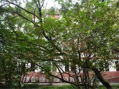 -四川大学博物馆