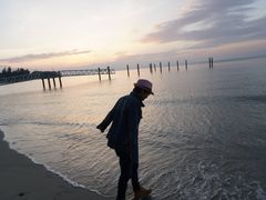 -西涌国际滨海旅游区