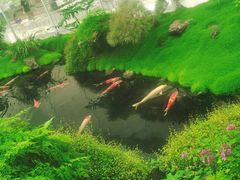 -罗红摄影艺术馆