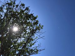 -桤木河湿地公园