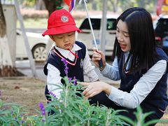 -金豆子幼稚园