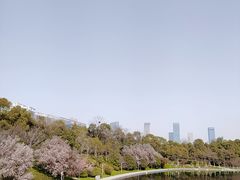 -天鹅湖体育公园