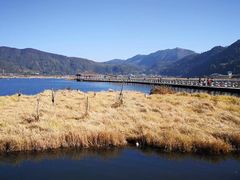 -腾冲北海湿地
