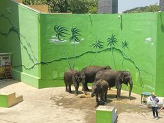 -大连森林动物园