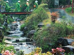 -龙坞茶村