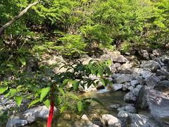 -安徽天堂寨风景区