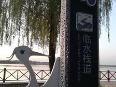 -丁香湖公园