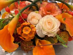 -峨嵋酒家(牡丹园店)