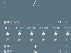 -清真益鑫羊肉手抓馆(南大街店)