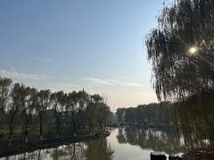 -西安浐灞国家湿地公园