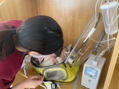 -美联众合动物医院·24h京西诊疗中心