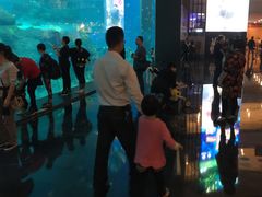 -成都浩海立方海洋公园