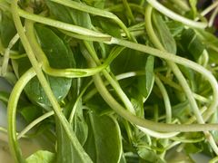 -竹叶涮肉坊(总店)