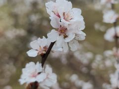 -白塘生态植物园