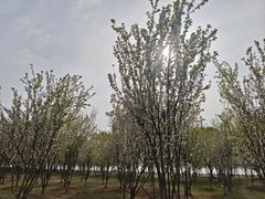 -阳澄湖半岛旅游度假区