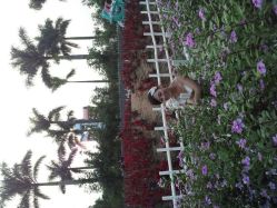 -现代经典婚纱摄影(光明北路尊荣总店)