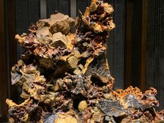 -乐山乌木文化博览苑