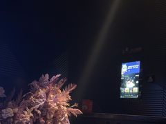 -黑桃K生日订制KTV