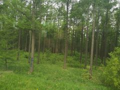 -塞罕坝国家级自然保护区