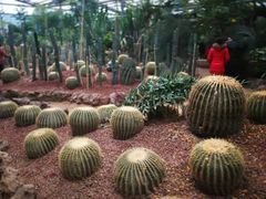 -呀路古热带植物园