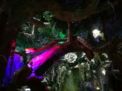 -多彩贵州城极地海洋世界