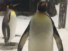 -悉尼海洋生物水族馆
