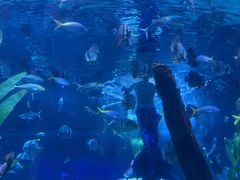 -南昌海洋公园