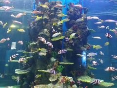 -石林冰雪海洋世界