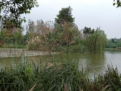 -白鹭湾湿地公园