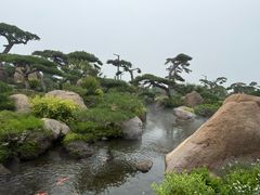 -罗红摄影艺术馆