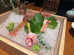 -月龍吟(朝龙汇店)