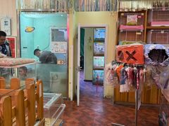 -宠物兔专门店(天丰利市场店)