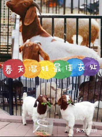 北京溜娃好去处！蓝可可亲子乐园