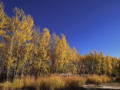 -野鸭湖国家湿地公园