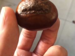 -小宝栗子(嘉华国际商业中心店)