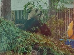 -上海动物园(地铁站)