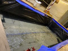 -小象钓虾·营地烧烤(洛溪店)