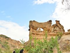 -元谋土林景区(物茂土林)