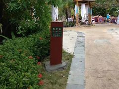 -三亚珠江南田温泉度假区